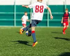 本澤馬是否,被法國隊除,原因揭秘,开云体育,开云体育官网,开云体育app,开云体育app下载