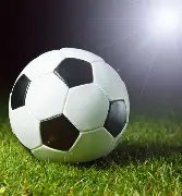 倪夏莲宣布,角逐第七届,奥运会,开云体育,开云体育官网,开云体育app,开云体育app下载